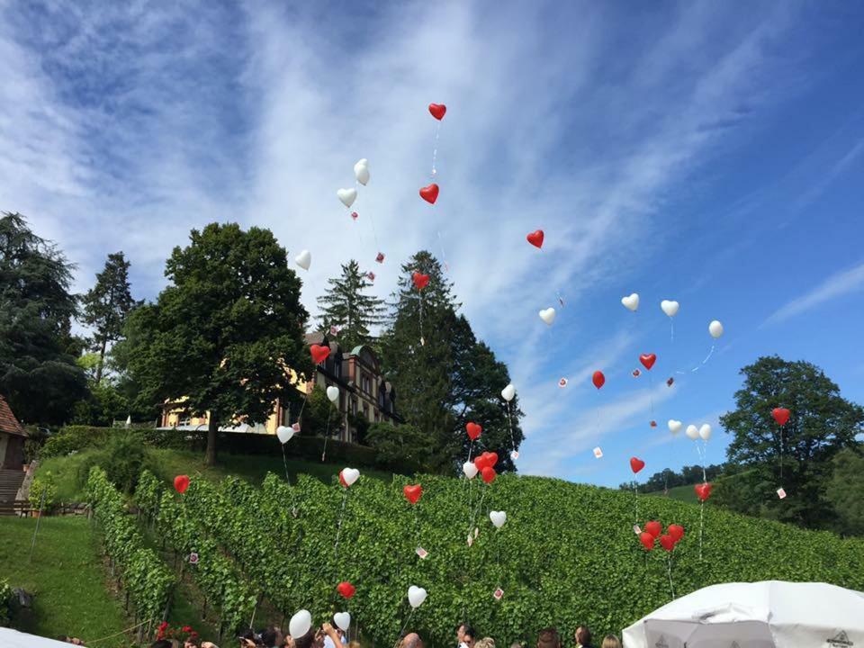 Wein Lodge Durbach - Josephsberg 2 Exteriör bild